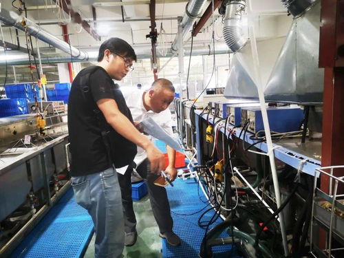 規(guī)范廠中廠服務(wù)小微園，樂(lè)清翁垟街道繃緊企業(yè)生產(chǎn)安全弦